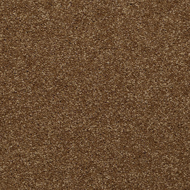 Town Creek Ii Residential Carpet by Shaw Floors in the color Brass Button. Sample of browns carpet pattern and texture.