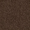 Town Creek Ii Residential Carpet by Shaw Floors in the color Mocha Chip. Sample of browns carpet pattern and texture.