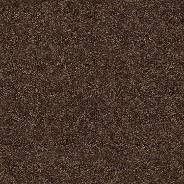 Town Creek Ii Residential Carpet by Shaw Floors in the color Mocha Chip. Sample of browns carpet pattern and texture.