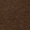 Town Creek Ii Residential Carpet by Shaw Floors in the color Patina. Sample of browns carpet pattern and texture.