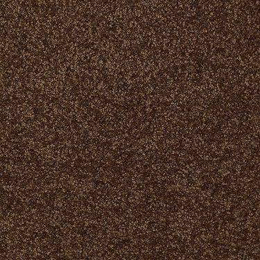 Town Creek Ii Residential Carpet by Shaw Floors in the color Patina. Sample of browns carpet pattern and texture.