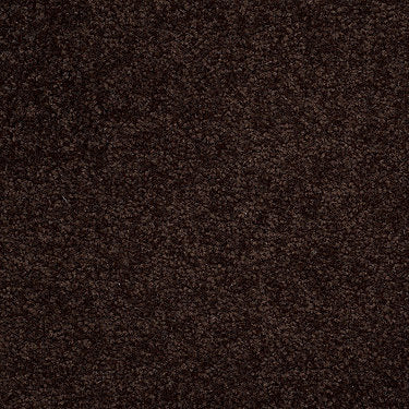 Town Creek Ii Residential Carpet by Shaw Floors in the color Dark Roast. Sample of browns carpet pattern and texture.