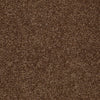 Town Creek Ii Residential Carpet by Shaw Floors in the color Toasty. Sample of browns carpet pattern and texture.