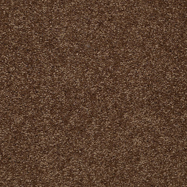 Town Creek Ii Residential Carpet by Shaw Floors in the color Toasty. Sample of browns carpet pattern and texture.