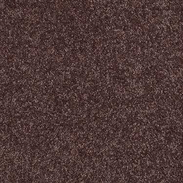 Town Creek Ii Residential Carpet by Shaw Floors in the color Plum. Sample of violets carpet pattern and texture.