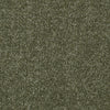 Town Creek Iii Residential Carpet by Shaw Floors in the color Sage Leaf. Sample of greens carpet pattern and texture.