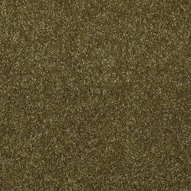 Town Creek Iii Residential Carpet by Shaw Floors in the color Green Apple. Sample of greens carpet pattern and texture.