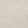 Skycrest 12' Residential Carpet by Shaw Floors in the color Snowflake. Sample of beiges carpet pattern and texture.