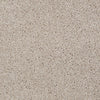 Skycrest 12' Residential Carpet by Shaw Floors in the color Antique Glaze. Sample of beiges carpet pattern and texture.