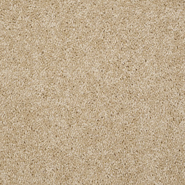 Skycrest 12' Residential Carpet by Shaw Floors in the color Harvest Grain. Sample of beiges carpet pattern and texture.