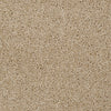 Skycrest 12' Residential Carpet by Shaw Floors in the color Incense. Sample of beiges carpet pattern and texture.