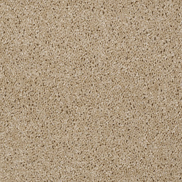 Skycrest 12' Residential Carpet by Shaw Floors in the color Incense. Sample of beiges carpet pattern and texture.