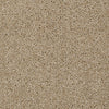 Skycrest 12' Residential Carpet by Shaw Floors in the color Bird Seed. Sample of beiges carpet pattern and texture.