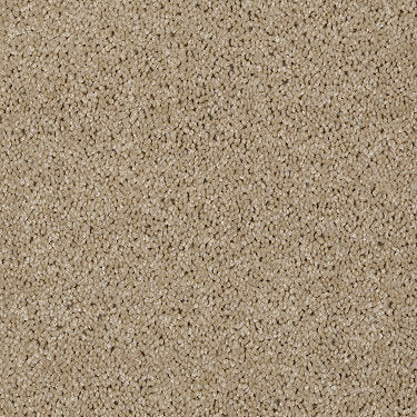 Skycrest 12' Residential Carpet by Shaw Floors in the color Bird Seed. Sample of beiges carpet pattern and texture.