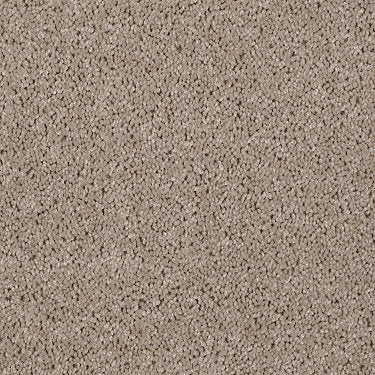 Skycrest 12' Residential Carpet by Shaw Floors in the color Sand Stone. Sample of beiges carpet pattern and texture.