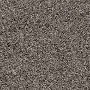 Skycrest 12' Residential Carpet by Shaw Floors in the color Bedrock. Sample of beiges carpet pattern and texture.