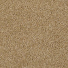 Skycrest 12' Residential Carpet by Shaw Floors in the color Honey Comb. Sample of golds carpet pattern and texture.