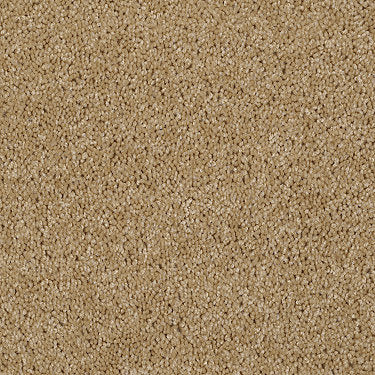 Skycrest 12' Residential Carpet by Shaw Floors in the color Honey Comb. Sample of golds carpet pattern and texture.