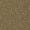 Skycrest 12' Residential Carpet by Shaw Floors in the color Citrus Leaf. Sample of greens carpet pattern and texture.