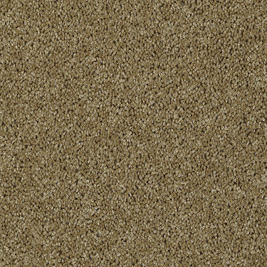 Skycrest 12' Residential Carpet by Shaw Floors in the color Citrus Leaf. Sample of greens carpet pattern and texture.