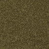 Skycrest 12' Residential Carpet by Shaw Floors in the color Jungle Magic. Sample of greens carpet pattern and texture.