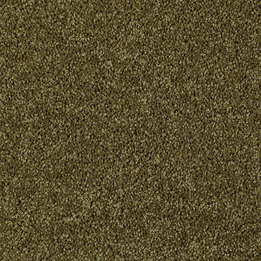 Skycrest 12' Residential Carpet by Shaw Floors in the color Jungle Magic. Sample of greens carpet pattern and texture.