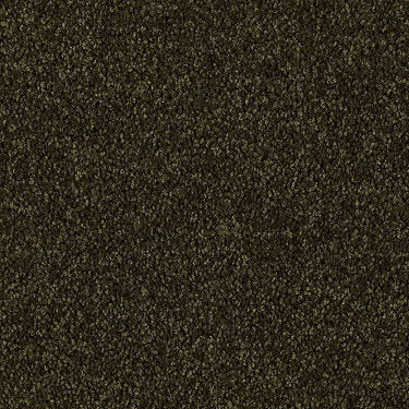 Skycrest 12' Residential Carpet by Shaw Floors in the color Green Valley. Sample of greens carpet pattern and texture.