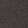 Skycrest 12' Residential Carpet by Shaw Floors in the color Artifact. Sample of grays carpet pattern and texture.