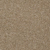 Skycrest 12' Residential Carpet by Shaw Floors in the color Biscotti. Sample of browns carpet pattern and texture.