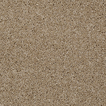 Skycrest 12' Residential Carpet by Shaw Floors in the color Biscotti. Sample of browns carpet pattern and texture.