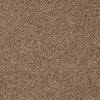 Skycrest 12' Residential Carpet by Shaw Floors in the color Mocha Taffy. Sample of browns carpet pattern and texture.