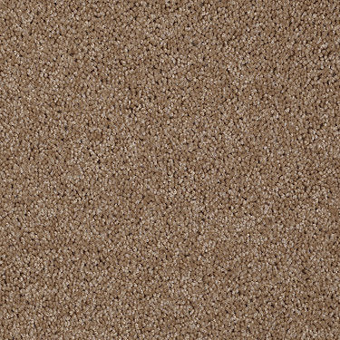 Skycrest 12' Residential Carpet by Shaw Floors in the color Mocha Taffy. Sample of browns carpet pattern and texture.