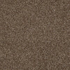 Skycrest 12' Residential Carpet by Shaw Floors in the color Driftwood. Sample of browns carpet pattern and texture.