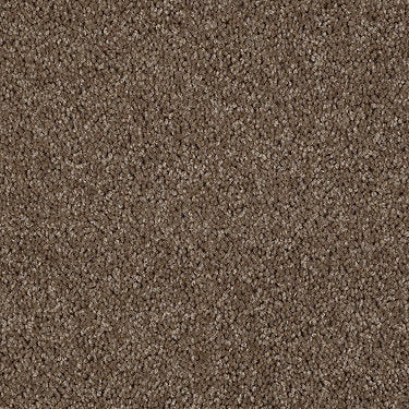 Skycrest 12' Residential Carpet by Shaw Floors in the color Driftwood. Sample of browns carpet pattern and texture.