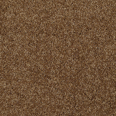 Skycrest 12' Residential Carpet by Shaw Floors in the color Country Amber. Sample of browns carpet pattern and texture.