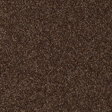 Skycrest 12' Residential Carpet by Shaw Floors in the color Cattail. Sample of browns carpet pattern and texture.