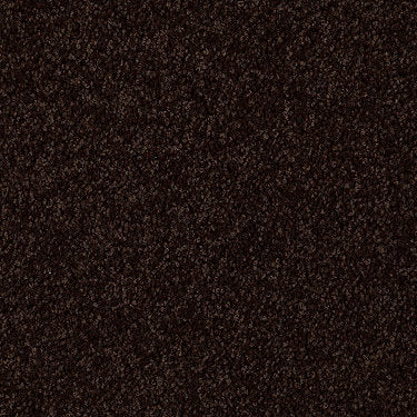 Skycrest 12' Residential Carpet by Shaw Floors in the color Rolling Hills. Sample of browns carpet pattern and texture.