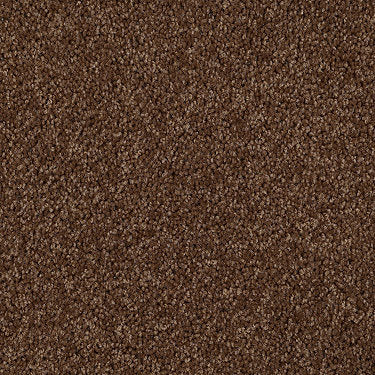 Skycrest 12' Residential Carpet by Shaw Floors in the color Happy Trail. Sample of browns carpet pattern and texture.