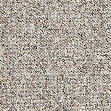 Parade Of Champions 12 Commercial Carpet by Philadelphia Commercial in the color Fireworks. Sample of browns carpet pattern and texture.