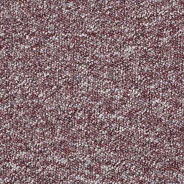 Parade Of Champions 12 Commercial Carpet by Philadelphia Commercial in the color Red Baron. Sample of reds carpet pattern and texture.