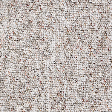 Parade Of Champions 15 Commercial Carpet by Philadelphia Commercial in the color Walnut Grove. Sample of browns carpet pattern and texture.