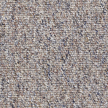 Parade Of Champions 15 Commercial Carpet by Philadelphia Commercial in the color Harbor Mist. Sample of browns carpet pattern and texture.
