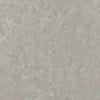 Fresco Vinyl Commercial by Shaw Floors in the color Ash sample demonstrating pattern and color.