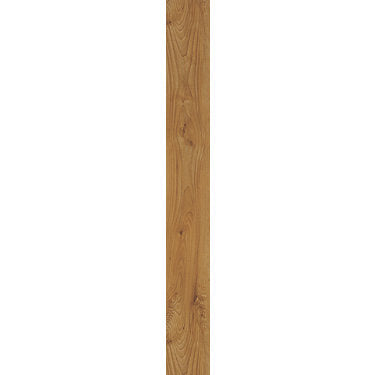 Bosk Vinyl Commercial by Shaw Floors in the color Light Cherry sample demonstrating pattern and color.