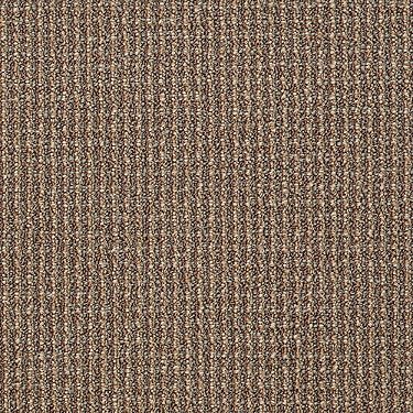Dateline Commercial Carpet by Philadelphia Commercial in the color Meridian. Sample of browns carpet pattern and texture.