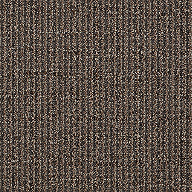 Dateline Commercial Carpet by Philadelphia Commercial in the color Longitude. Sample of browns carpet pattern and texture.