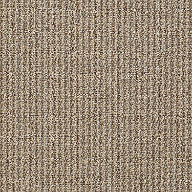 Dateline Commercial Carpet by Philadelphia Commercial in the color Day And Night. Sample of browns carpet pattern and texture.