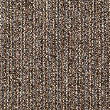 Dateline Commercial Carpet by Philadelphia Commercial in the color Solstice. Sample of browns carpet pattern and texture.