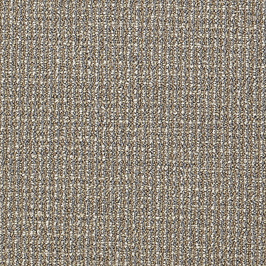 Dateline Commercial Carpet by Philadelphia Commercial in the color Globe. Sample of browns carpet pattern and texture.