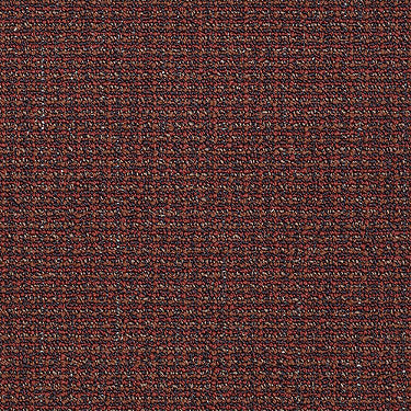 Dateline Commercial Carpet by Philadelphia Commercial in the color Solar Time. Sample of reds carpet pattern and texture.